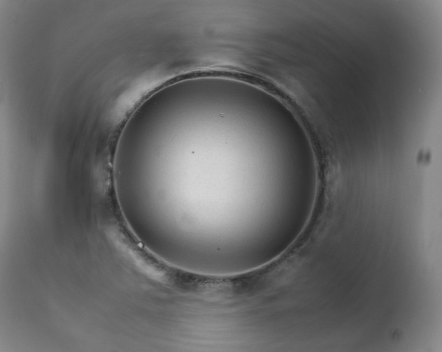 X0000111231363200907091326