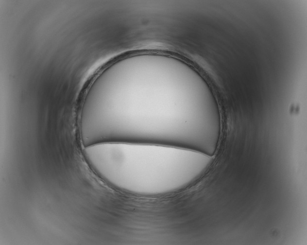 X0000111231364200907091326