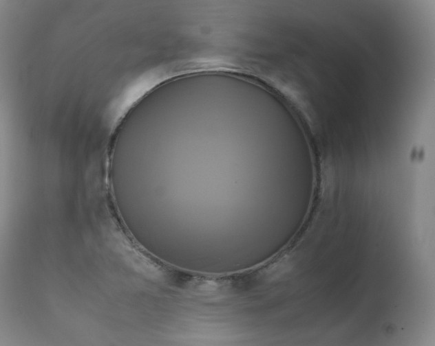 X0000111231365200907091326