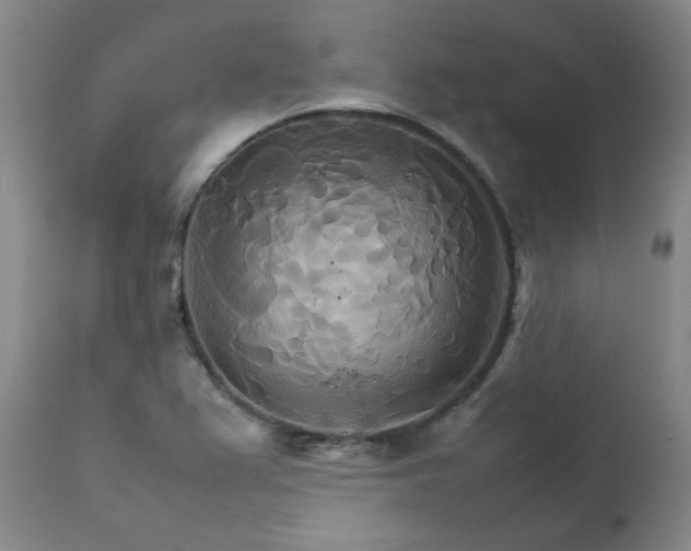 X0000111231367200907091326