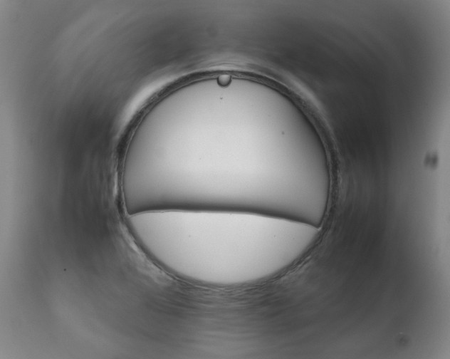 X0000111231368200907091326