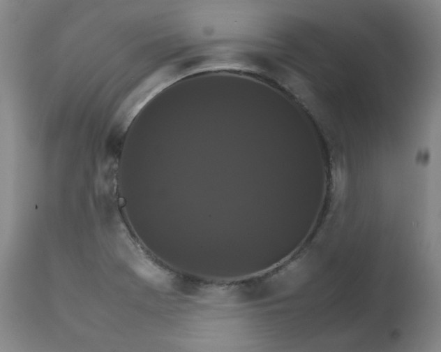 X0000111231369200907091326