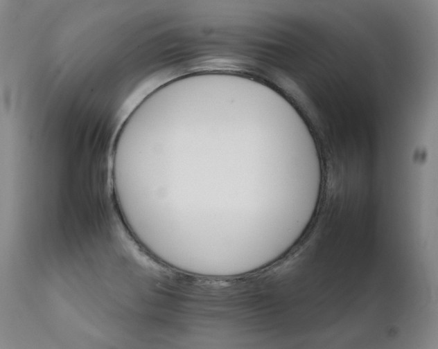 X0000111231370200907091326