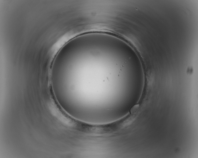 X0000111231371200907091326