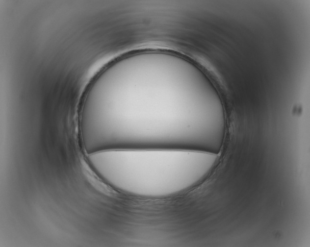 X0000111231372200907091326