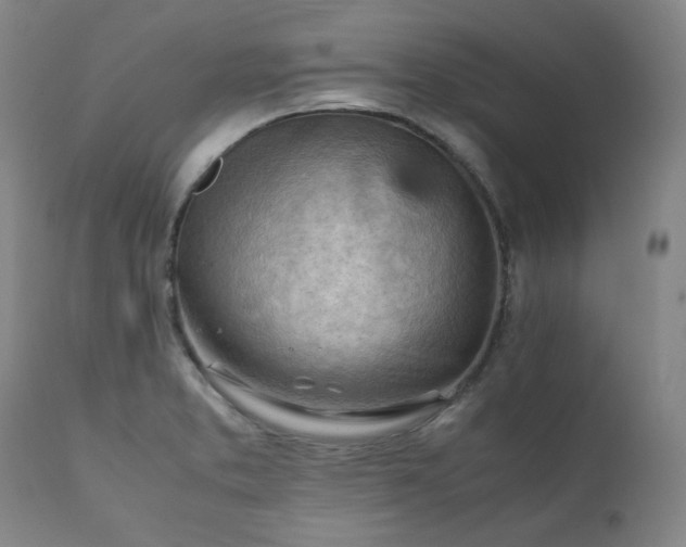 X0000111231373200907091326