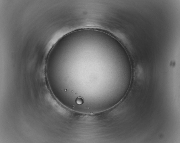 X0000111231374200907091326