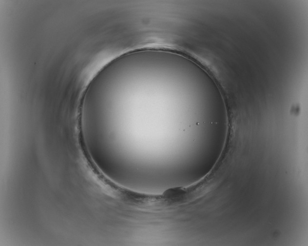 X0000111231375200907091326