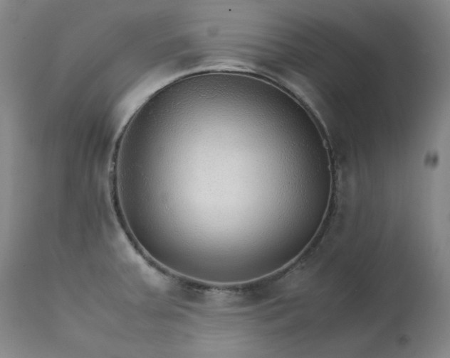 X0000111231379200907091326