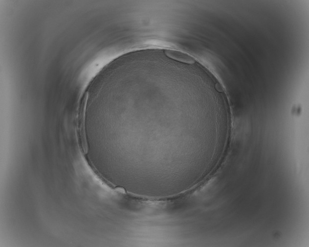 X0000111231381200907091326