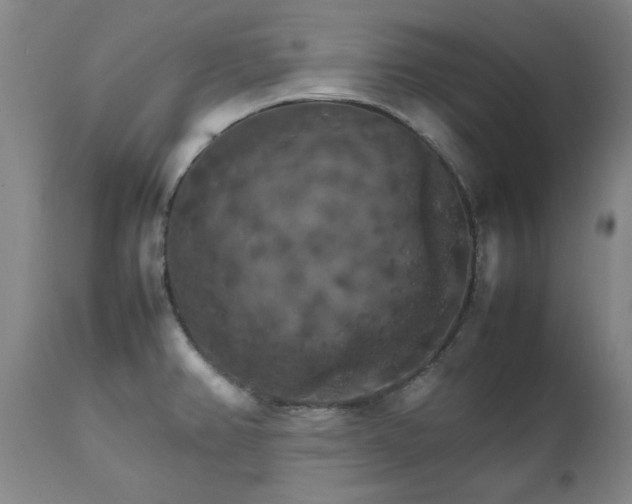 X0000111231382200907091326