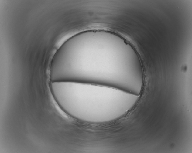 X0000111231383200907091326