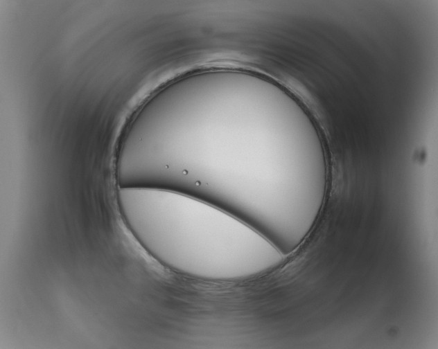 X0000111231384200907091326