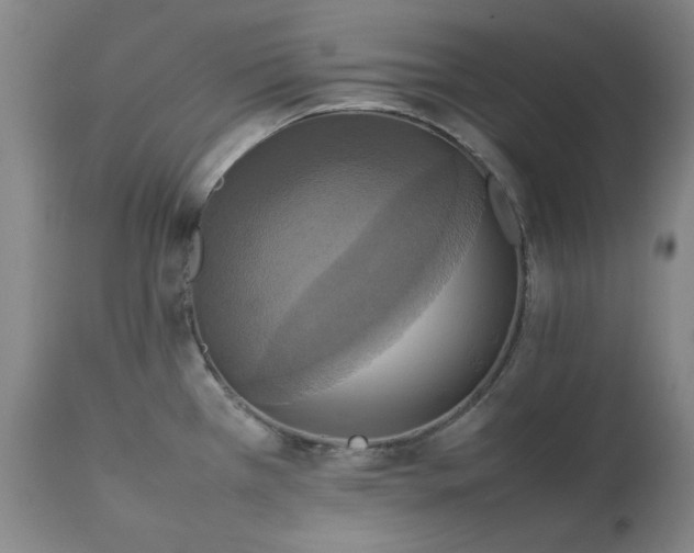 X0000111231385200907091326