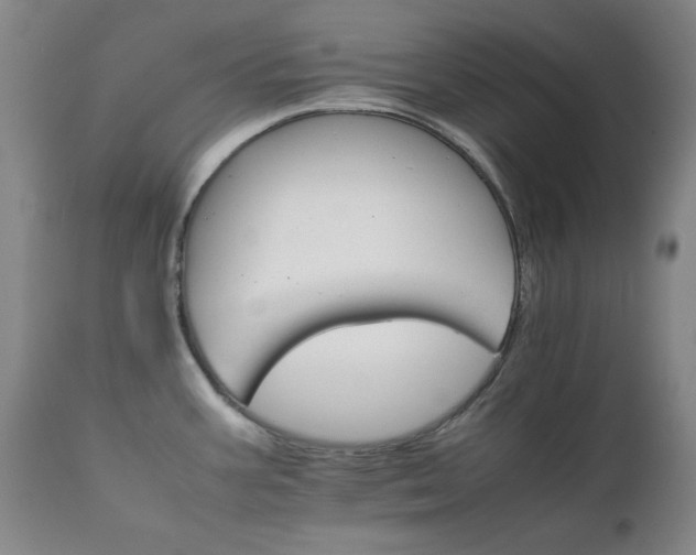 X0000111231387200907091326