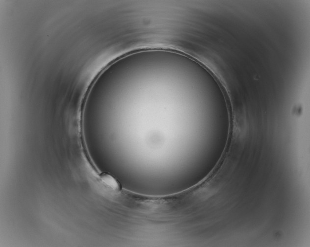 X0000111231388200907091326