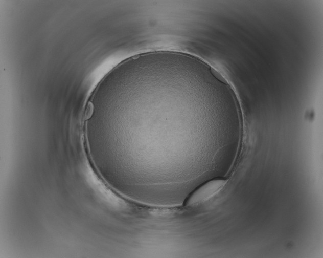 X0000111231389200907091326