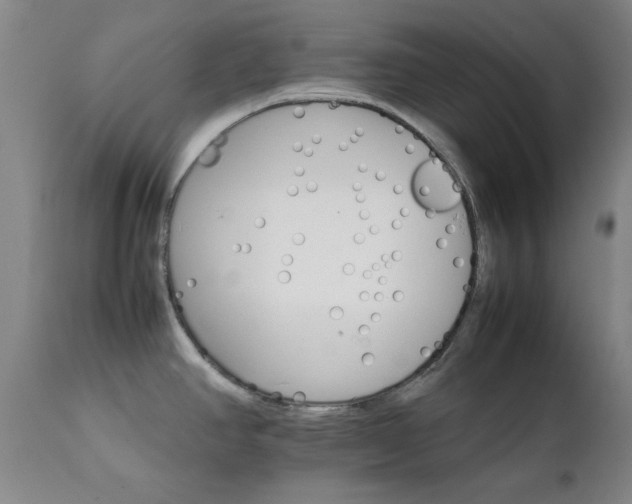 X0000111231390200907091326