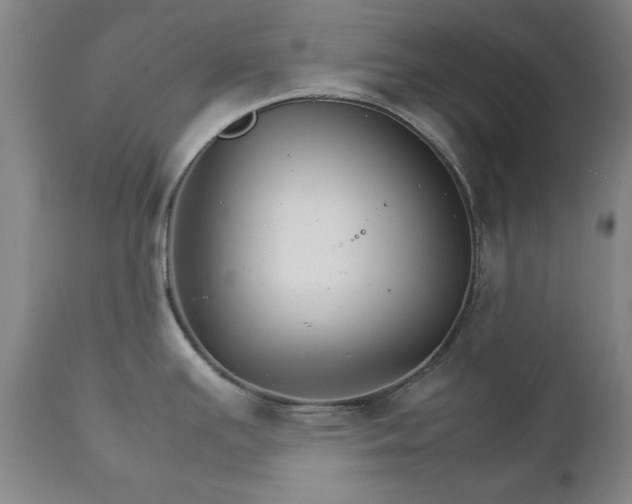 X0000111231391200907091326