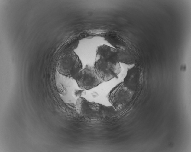 X0000111231393200907091325