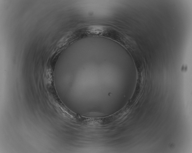 X0000111231394200907091325