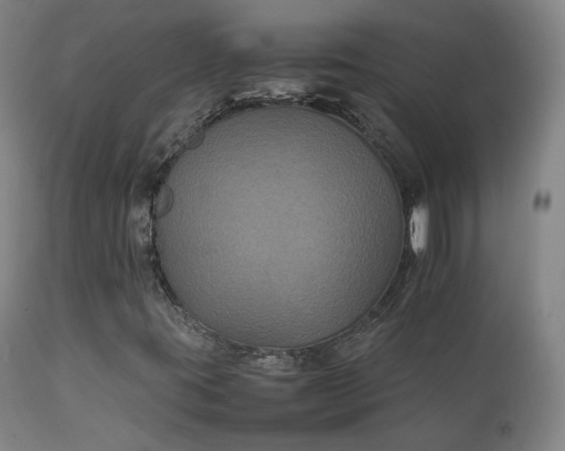 X0000111231395200907091325