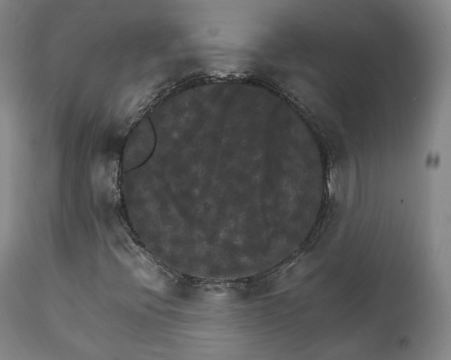 X0000111231396200907091325