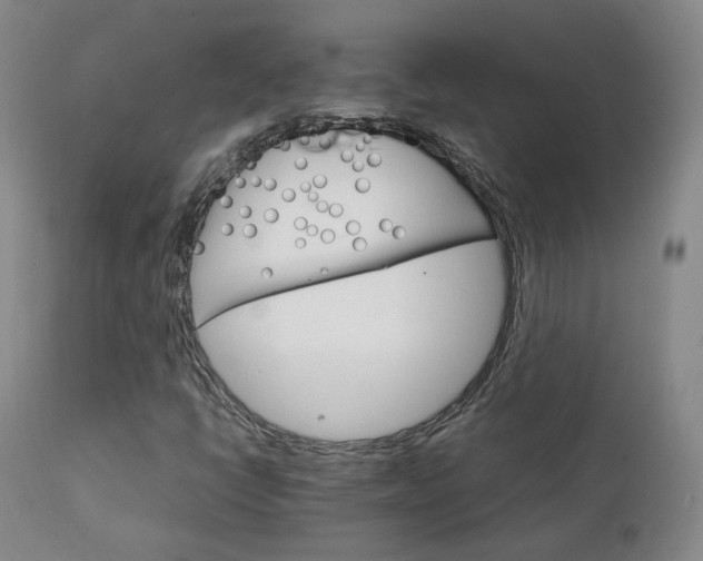 X0000111231398200907091325