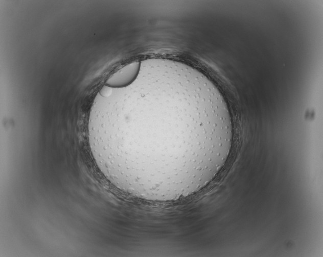 X0000111231399200907091325