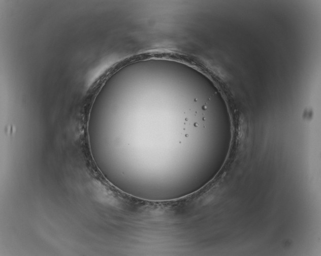X0000111231400200907091325