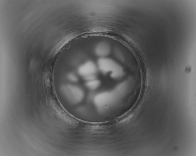 X0000111231401200907091325