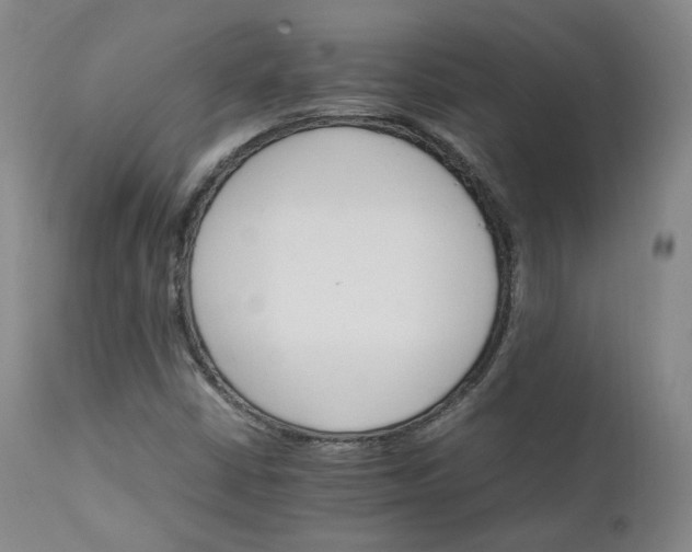 X0000111231402200907091325