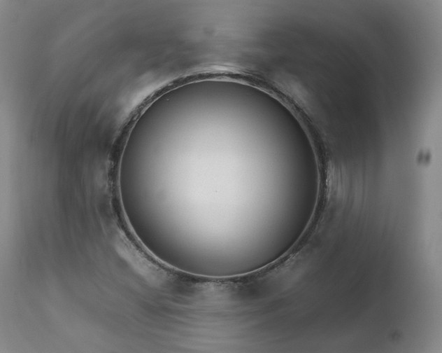 X0000111231404200907091325