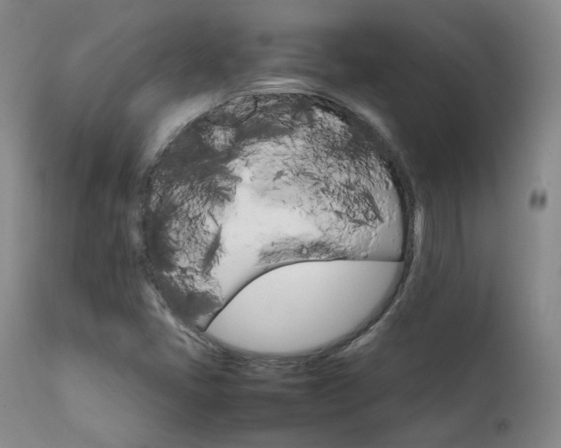 X0000111231405200907091325