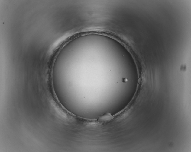 X0000111231406200907091325