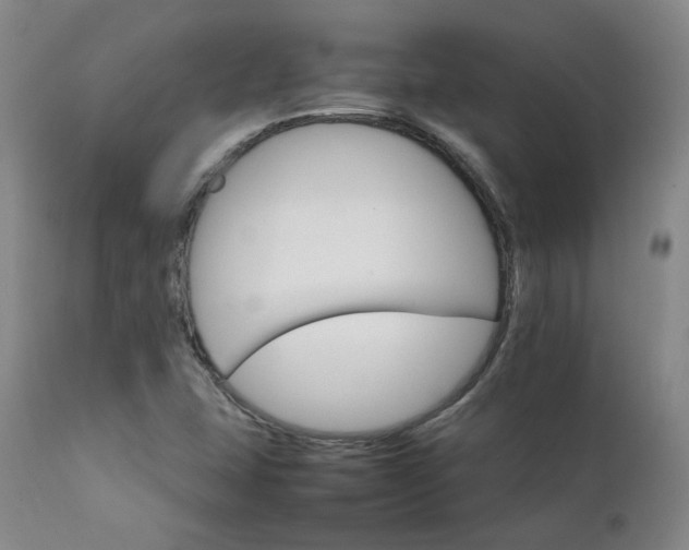 X0000111231407200907091325