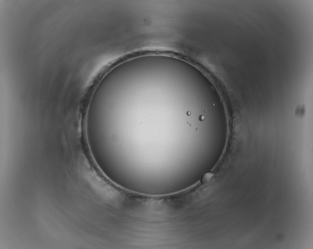 X0000111231408200907091325