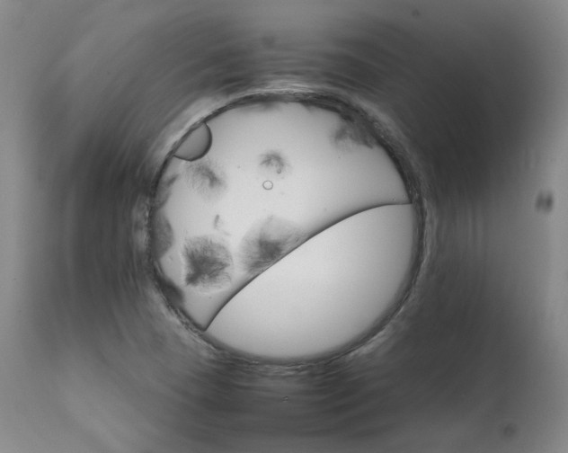 X0000111231409200907091325