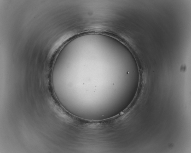 X0000111231410200907091325