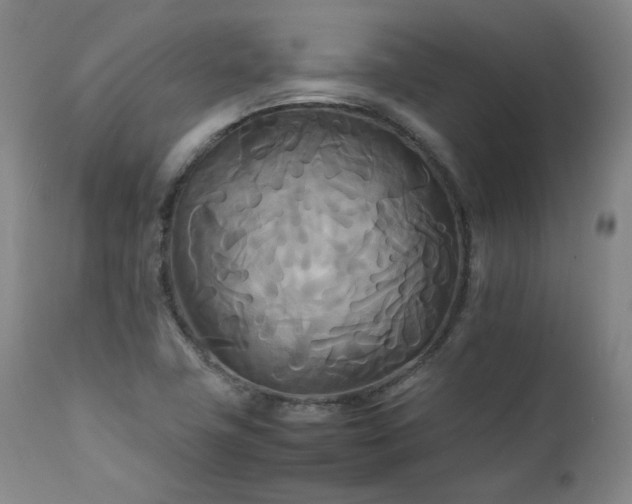 X0000111231411200907091325