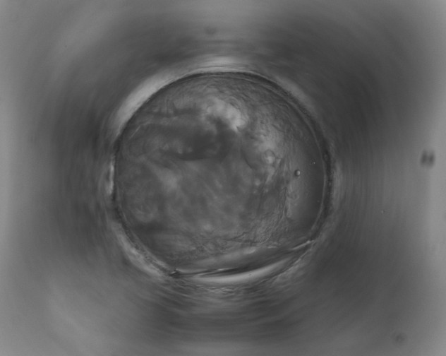 X0000111231413200907091325