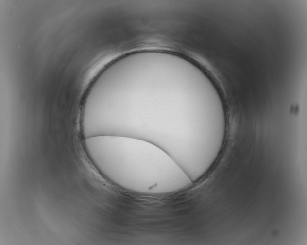 X0000111231415200907091325
