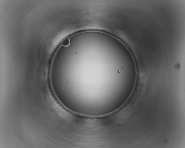 X0000111231416200907091325