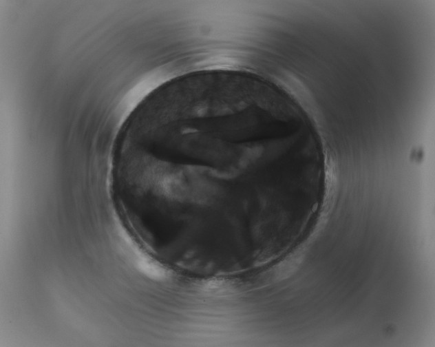 X0000111231418200907091325