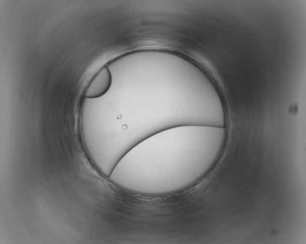 X0000111231419200907091325