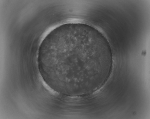 X0000111231421200907091325