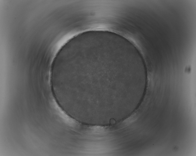 X0000111231424200907091325