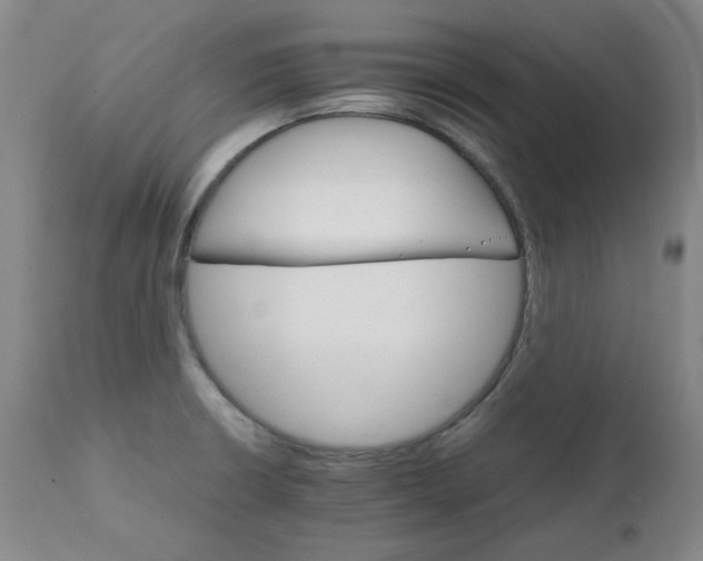 X0000111231426200907091325