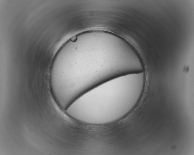 X0000111231428200907091325
