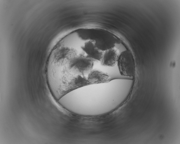 X0000111231429200907091325